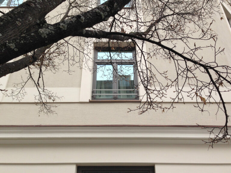 Fassadensanierung Fenster